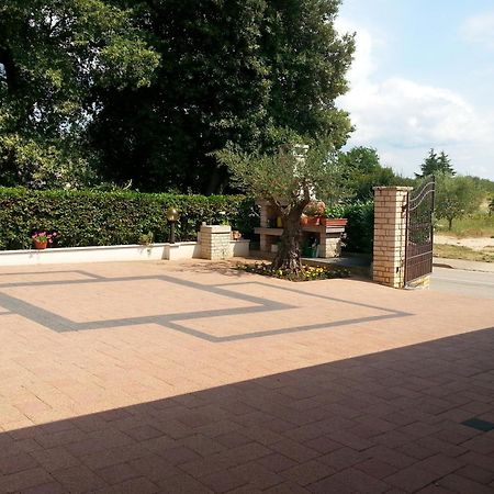 内维加住宿加早餐旅馆 波雷奇 外观 照片